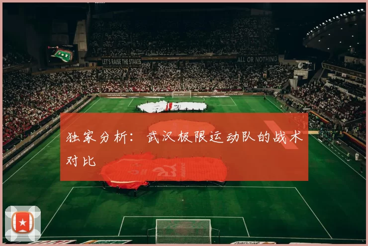 独家分析：武汉极限运动队的战术对比