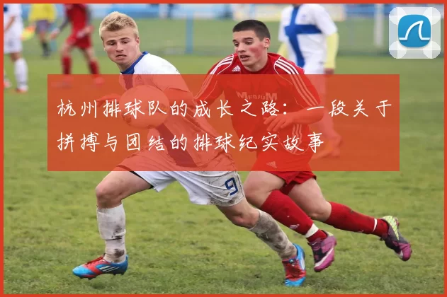 杭州排球队的成长之路：一段关于拼搏与团结的排球纪实故事
