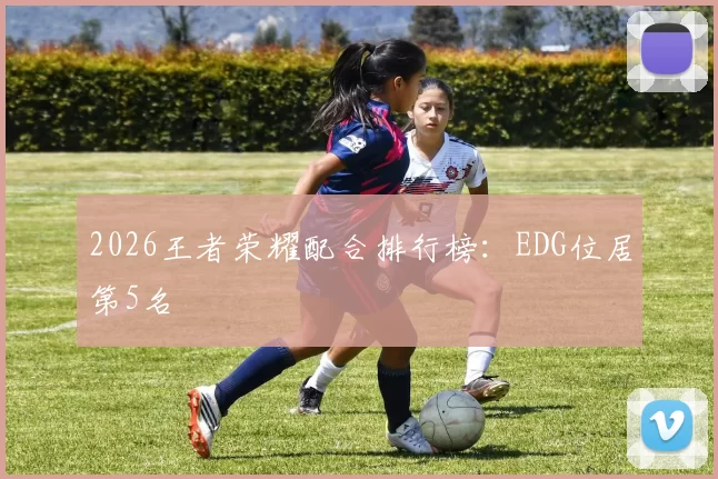 2026王者荣耀配合排行榜：EDG位居第5名