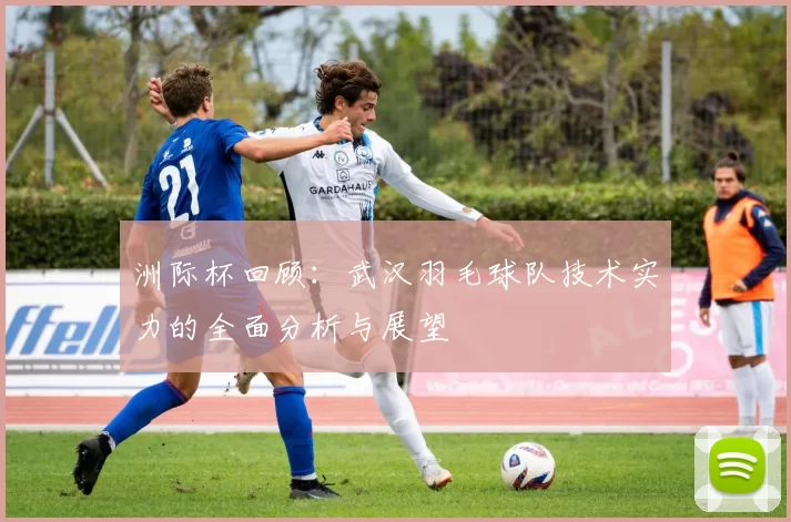 洲际杯回顾：武汉羽毛球队技术实力的全面分析与展望