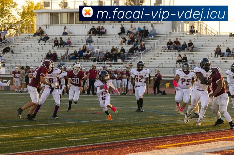 开云体育APP 体育赛事宣传图